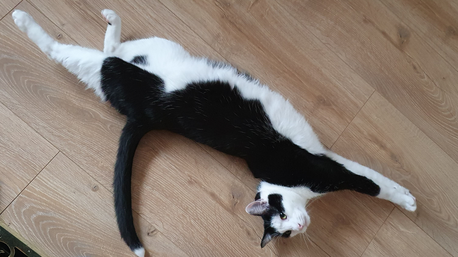 Uncle Frankie laying on the gorund