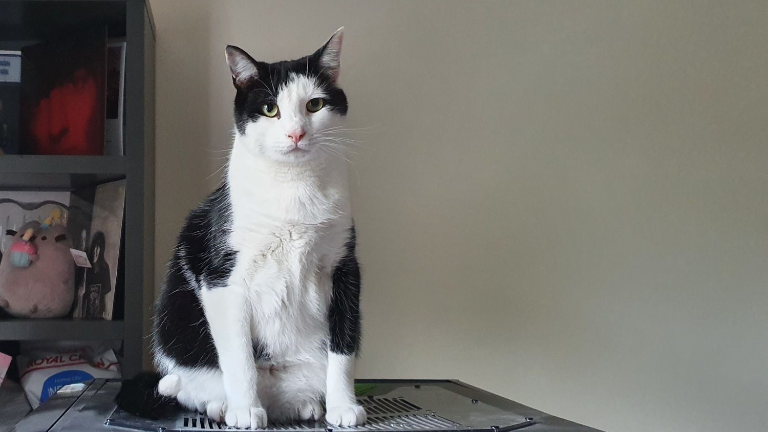 Uncle Frankie sitting